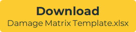 Download Damage Matrix Template